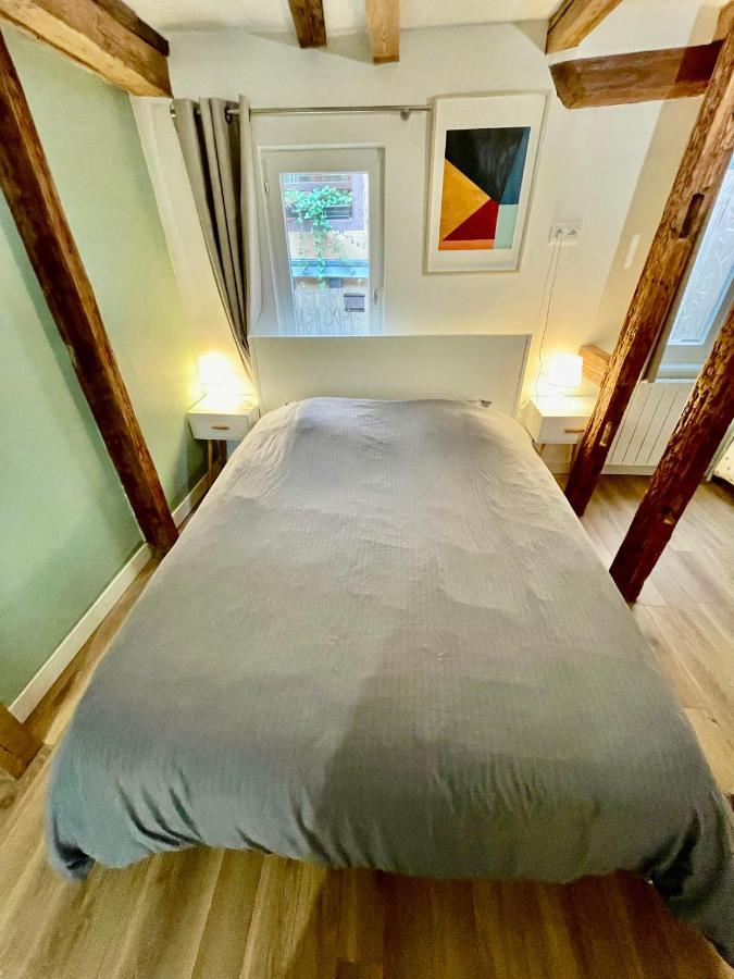 Strasbourg Magnifique Appartement Centre Ville Petite France ภายนอก รูปภาพ